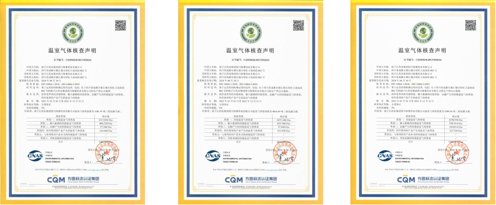 扬子江药业集团四川海蓉药业有限公司2021年-2024年碳排放核查数据公示